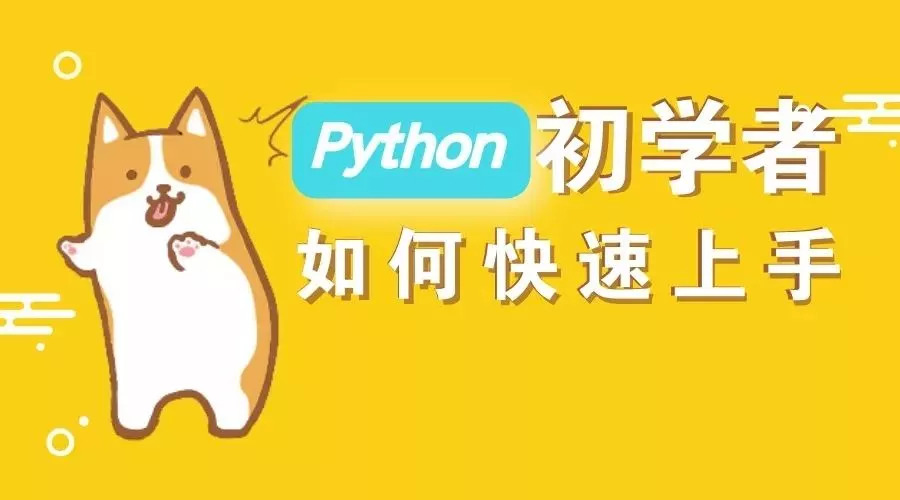  大家都在學的 Python，可以用來干什么？ 